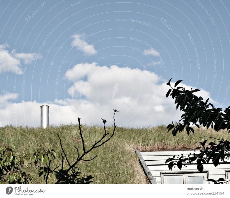 Grasdach Haus Natur Luft Himmel Wolken Gebäude Dach Schornstein blau grün Farbfoto Außenaufnahme Menschenleer Textfreiraum oben Tag Kontrast