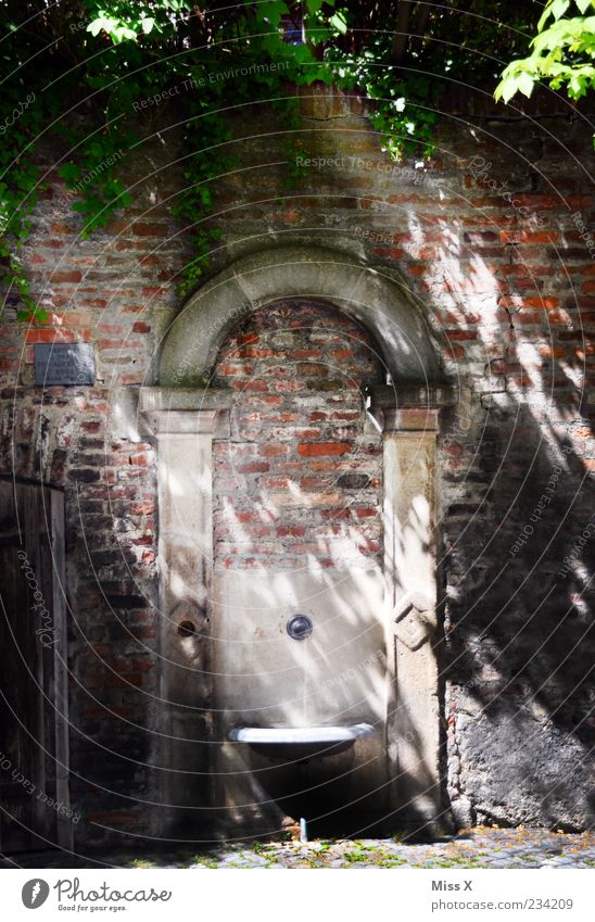 Brunnen Altstadt Menschenleer alt hell Erfrischung Trinkbrunnen Wasserhahn Trinkwasser Farbfoto Außenaufnahme Morgen Licht Schatten Sonnenlicht