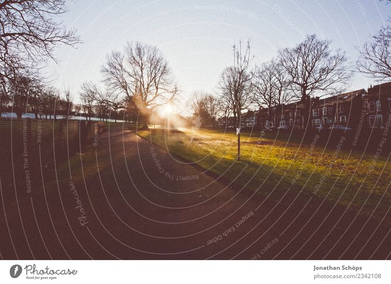 Sonnenuntergang am Stadtrand in Sheffield Natur Schönes Wetter Park Haus ästhetisch Zufriedenheit Lebensfreude Gelassenheit geduldig ruhig Wege & Pfade