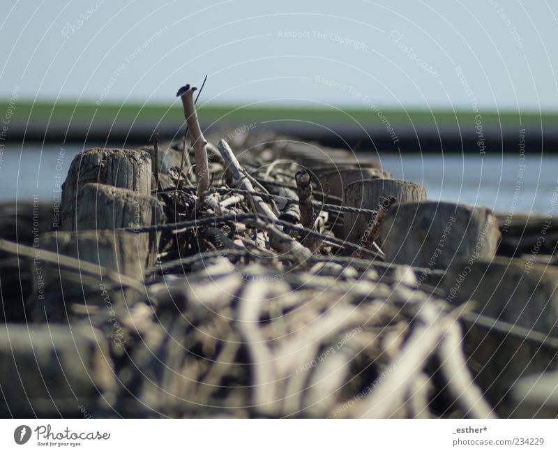 Holz im Meer Wasser Küste blau ruhig Ferien & Urlaub & Reisen Farbfoto Außenaufnahme Menschenleer Tag Licht Sonnenlicht Schwache Tiefenschärfe Froschperspektive