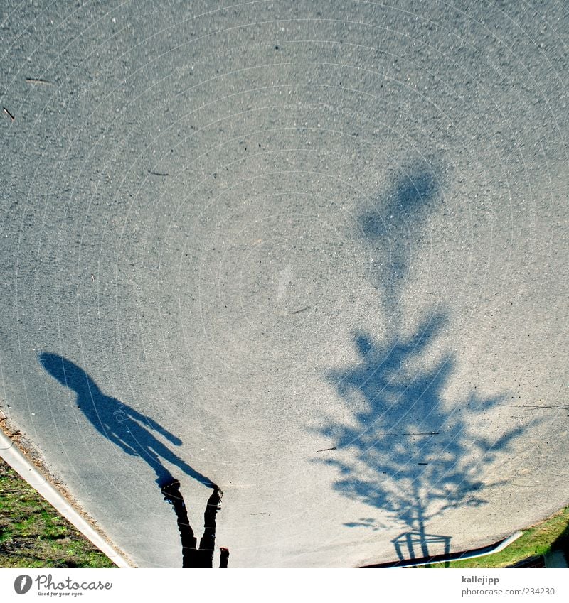 big spender Mensch Kind Junge 1 Bewegung fahren Rollschuhe Inline skates Skateboarding üben Baum Straße Sonnenlicht Farbfoto Gedeckte Farben Außenaufnahme Licht