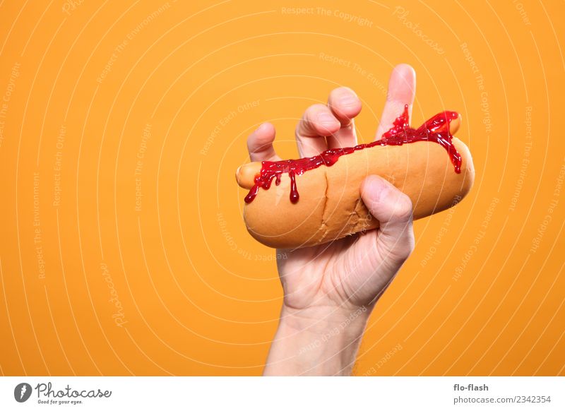 BLOOD DOG Lebensmittel Fleisch Wurstwaren Brot Ernährung Mittagessen Abendessen Bioprodukte Vegetarische Ernährung Diät Fasten Fastfood Fingerfood Lifestyle