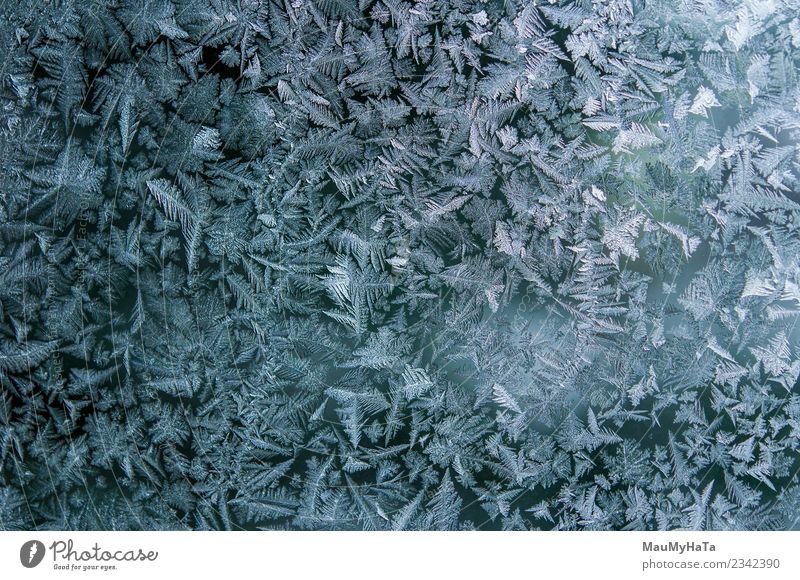 Eismuster im Winter schön Schnee Weihnachten & Advent Natur Klima Wetter frisch hell natürlich neu blau Frost gefroren Fenster Glas Konsistenz Hintergrund eisig