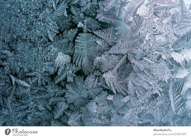 Eismuster im Winter schön Schnee Weihnachten & Advent Natur Klima Wetter frisch hell natürlich neu blau Frost gefroren Fenster Glas Konsistenz Hintergrund eisig