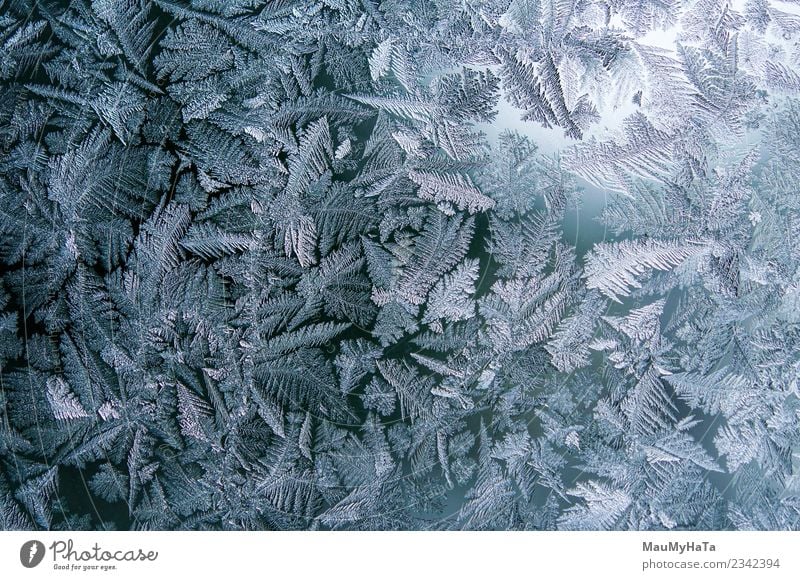 Eismuster im Winter schön Schnee Weihnachten & Advent Natur Klima Wetter frisch hell natürlich neu blau Frost gefroren Fenster Glas Konsistenz Hintergrund eisig