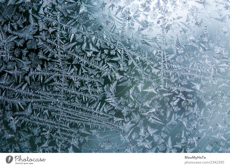 Eismuster im Winter schön Schnee Weihnachten & Advent Natur Klima Wetter frisch hell natürlich neu blau Frost gefroren Fenster Glas Konsistenz Hintergrund eisig