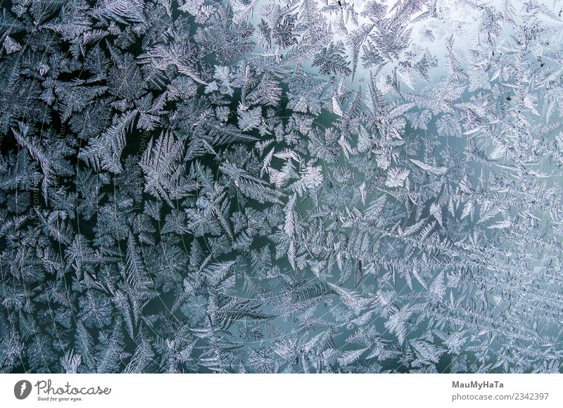 Eismuster im Winter schön Schnee Weihnachten & Advent Natur Klima Wetter frisch hell natürlich neu blau Frost gefroren Fenster Glas Konsistenz Hintergrund eisig