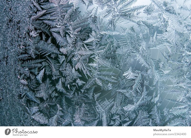 Eismuster im Winter schön Schnee Weihnachten & Advent Natur Klima Wetter frisch hell natürlich neu blau Frost gefroren Fenster Glas Konsistenz Hintergrund eisig