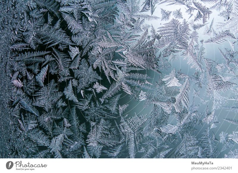 Eismuster im Winter schön Schnee Weihnachten & Advent Natur Klima Wetter frisch hell natürlich neu blau Frost gefroren Fenster Glas Konsistenz Hintergrund eisig