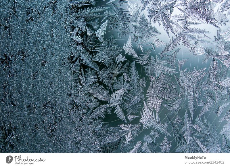 Eismuster im Winter schön Schnee Weihnachten & Advent Natur Klima Wetter frisch hell natürlich neu blau Frost gefroren Fenster Glas Konsistenz Hintergrund eisig