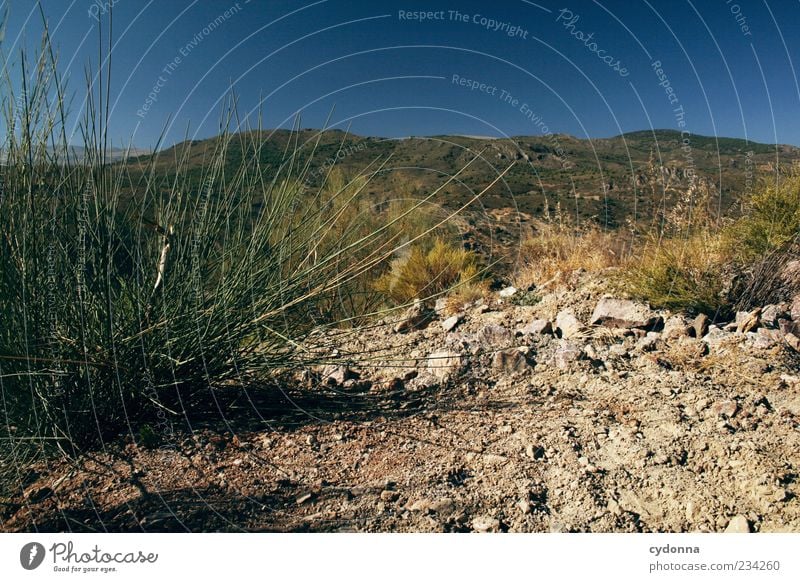 Wann kommt der Regen? Ferne Freiheit Umwelt Natur Landschaft Erde Wolkenloser Himmel Sommer Klima Wärme Dürre Gras Sträucher Berge u. Gebirge Einsamkeit Idylle