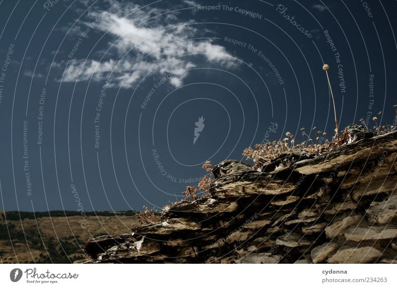 Bessere Aussichten Ferne Freiheit Umwelt Natur Himmel Sommer Dürre Pflanze Hügel Mauer Wand Bewegung Einsamkeit einzigartig entdecken Idylle Leben Neugier