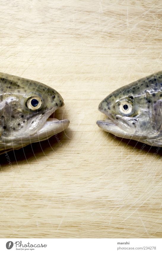 Tratschweiber Lebensmittel Fisch Ernährung Forelle Blick Tier Holzbrett Ekel Maul Farbfoto Tierporträt Totes Tier Regenbogenforelle Fischauge Glätte