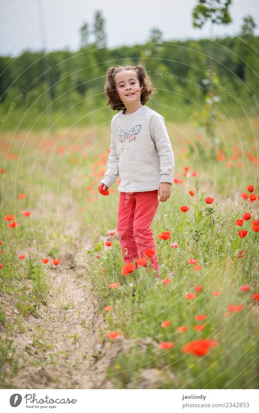 Kleines Mädchen mit vier Jahren, das Spaß auf einem Mohnfeld hat. Freude Glück schön Leben Spielen Kind Mensch Frau Erwachsene Kindheit 1 3-8 Jahre Natur Blume