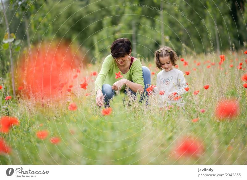 Glückliche Mutter mit ihrer kleinen Tochter im Mohnfeld Lifestyle Kind Mensch Mädchen Frau Erwachsene Eltern Familie & Verwandtschaft Kindheit Jugendliche 2