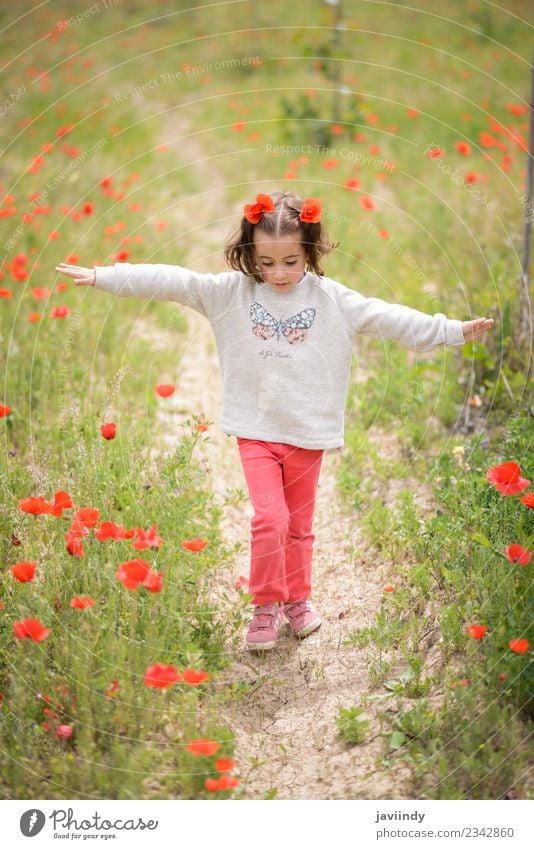 Süßes kleines Mädchen, das Spaß auf einem Mohnfeld hat. Freude Glück schön Leben Spielen Kind Mensch Baby Frau Erwachsene Kindheit 1 3-8 Jahre Natur Blume Gras