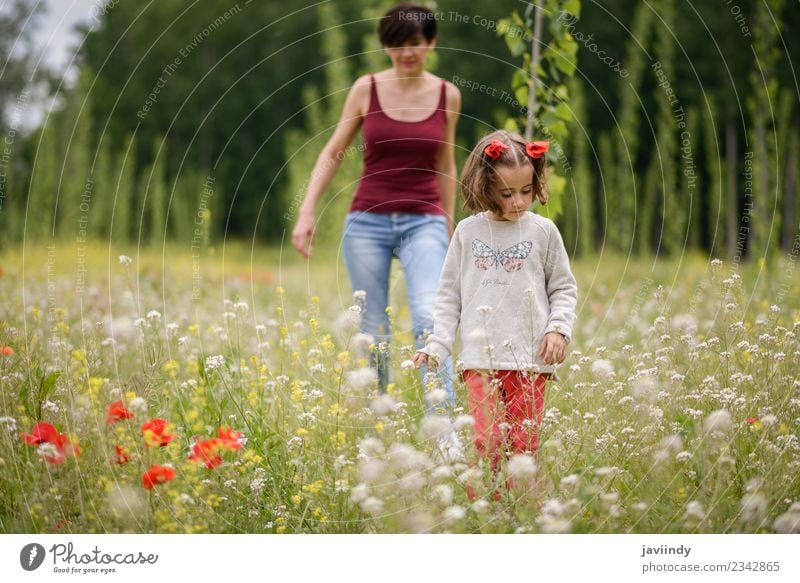 Glückliche Mutter mit ihrer kleinen Tochter im Mohnfeld Lifestyle Kind Mensch feminin Baby Mädchen Frau Erwachsene Eltern Familie & Verwandtschaft Kindheit