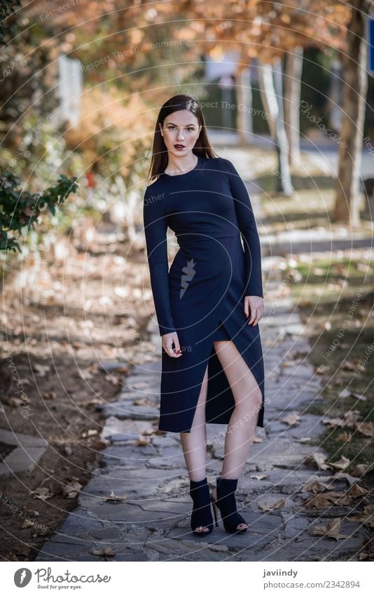 Schöne junge Frau, Model der Mode, trägt ein schwarzes Kleid. Lifestyle Stil Glück schön Haare & Frisuren Mensch feminin Junge Frau Jugendliche Erwachsene 1