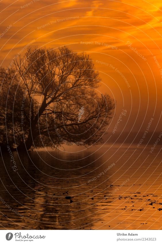 Morgendämmerung im Teufelsmoor bei Worpswede Trauerfeier Beerdigung Natur Landschaft Sonnenaufgang Sonnenuntergang Frühling Winter Baum Seeufer Flussufer Moor