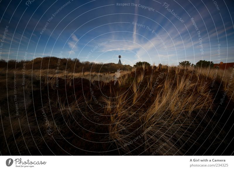 Spiekeroog l cloud lines Umwelt Natur Landschaft Pflanze Luft Himmel Wolken Klima Wetter Schönes Wetter Gras Sträucher Düne Dünengras außergewöhnlich natürlich