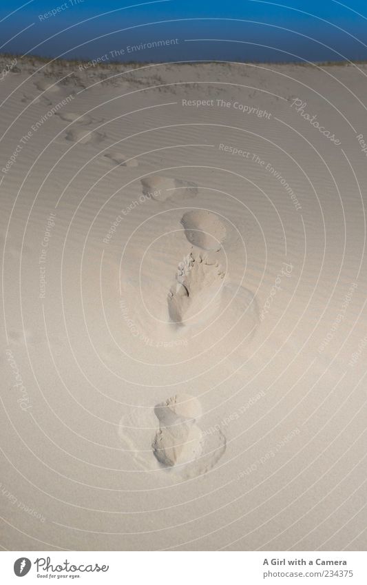 Dieser Weg ist sandig und schwer .... Freiheit Sommer Sonne Strand Insel Umwelt Natur Landschaft Sand Horizont Wärme Dürre Küste Nordsee gehen wandern frei