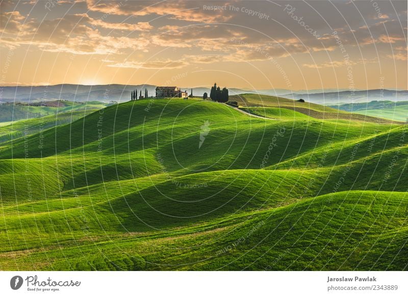 Frühling in den Feldern der Toskana bei Sonnenuntergang schön Sommer Haus Natur Landschaft Pflanze Himmel Wolken Baum Gras Park Wiese Hügel blau grün Italien