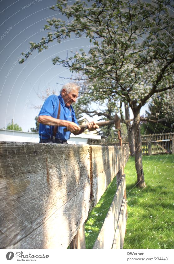 Gartenarbeit Leben Freizeit & Hobby Sommer Handwerker Landwirtschaft Forstwirtschaft Ruhestand Hammer Mensch maskulin 1 60 und älter Senior Natur Landschaft