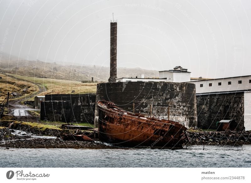 die alte Fischfabrik Fabrik Ruine Gebäude Mauer Wand Fassade Schornstein Wahrzeichen dunkel kalt braun grau grün weiß Schiffswrack Rost Island Westfjord Nebel