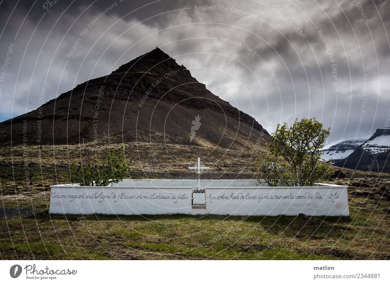 Friedhof Landschaft Pflanze Himmel Wolken Frühling Wetter Baum Gras Felsen Berge u. Gebirge Schneebedeckte Gipfel Küste braun grau weiß Island Westfjord ruhen