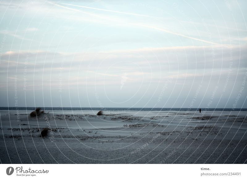 Spiekeroog | Blaue Stunde ruhig Strand Meer Mensch 1 Wasser Himmel Wolken Horizont Küste Nordsee atmen dunkel gruselig blau Einsamkeit Wattenmeer Düne