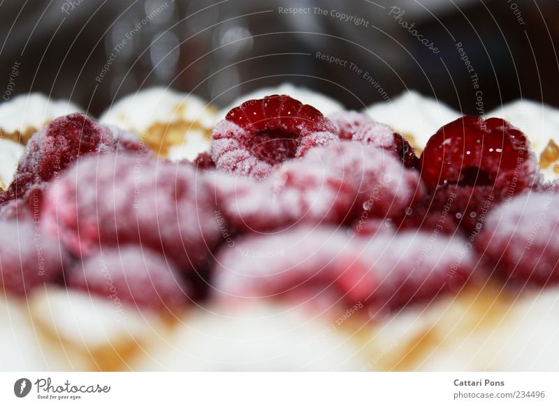 Himbeersahnetorte Lebensmittel Kuchen Dessert Himbeeren Torte Frucht fruchtig Sahnetorte tiefgekühlt nah lecker Farbfoto Innenaufnahme Menschenleer gefroren