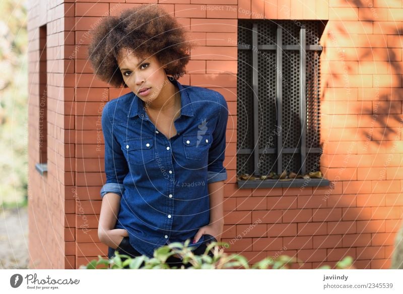 Junge schwarze Frau mit Afro-Frisur, die im Freien steht. Lifestyle Stil Glück schön Haare & Frisuren Gesicht Mensch feminin Junge Frau Jugendliche Erwachsene 1