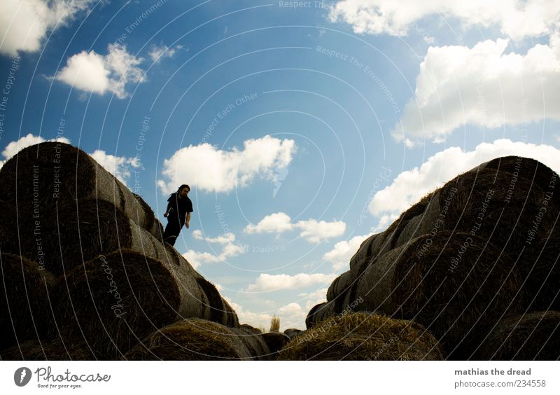 KURZ VORM ABHEBEN Lifestyle elegant Freude Freizeit & Hobby Le Parkour Mensch maskulin Umwelt Natur Landschaft Himmel Wolken Sommer Schönes Wetter Pflanze Wiese