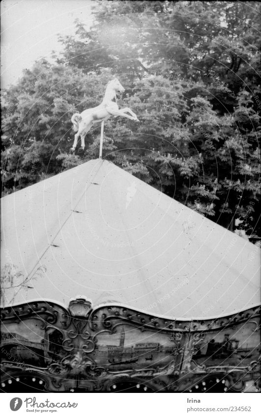 Montmartre White Beauty II Paris Hauptstadt Sehenswürdigkeit Karussell Karussellpferd Kindheit analog drehen alt Pferd Sträucher Zweige u. Äste Menschenleer