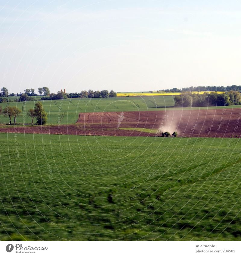 kleiner sturm Umwelt Natur Landschaft Pflanze Erde Luft Wolkenloser Himmel Frühling Schönes Wetter Baum Gras Sträucher Grünpflanze Nutzpflanze Wiese Feld Börde