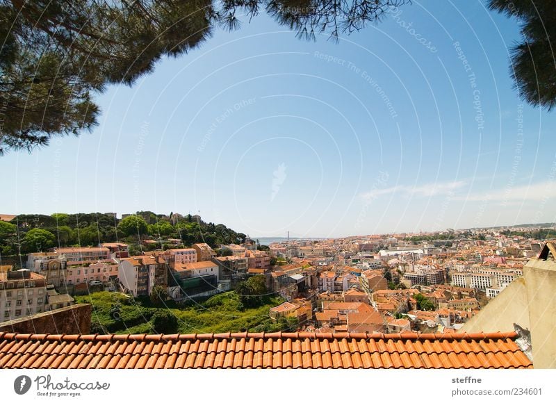 Miradouro da Graca Wolkenloser Himmel Sommer Schönes Wetter Baum Lissabon Portugal Hauptstadt Stadtzentrum Altstadt Skyline bevölkert Haus Dach überblicken