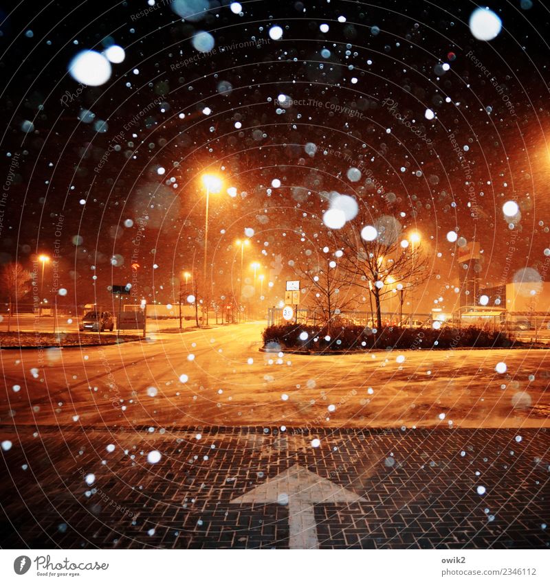 Spätverkauf Winter Schönes Wetter Schnee Schneefall Baum Zgorzelec Polen Görlitz Verkehrswege Straße Straßenkreuzung Parkplatz Parkplatzbeleuchtung Straßenbelag