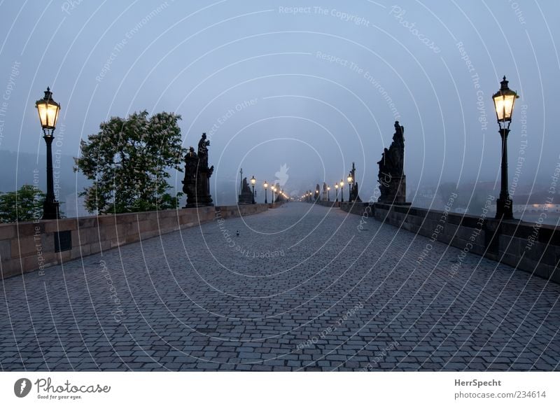 Graue Stunde Prag Hauptstadt Stadtzentrum Altstadt Menschenleer Brücke Sehenswürdigkeit Wahrzeichen Denkmal Karlsbrücke Stein alt ästhetisch Bekanntheit