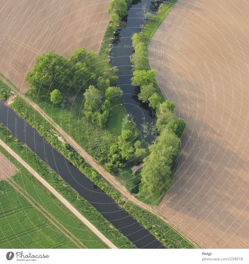 * 500 * Höhenflug... Freiheit Umwelt Natur Landschaft Pflanze Sand Wasser Sonnenlicht Frühling Schönes Wetter Baum Gras Sträucher Blatt Grünpflanze Nutzpflanze