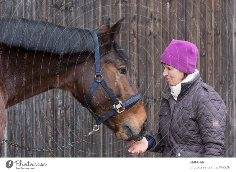 Pferdeglück Freizeit & Hobby Reiten Reiter Landwirtschaft Forstwirtschaft Mensch feminin Frau Erwachsene 1 30-45 Jahre Jacke Mütze Tier Haustier Nutztier