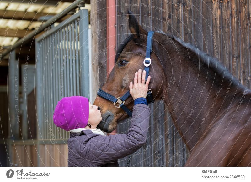 Geliebter Vierbeiner Freizeit & Hobby Reiten Winter Sport Reitsport Reitstall Mensch feminin Frau Erwachsene 1 30-45 Jahre Mütze Tier Haustier Pferd berühren