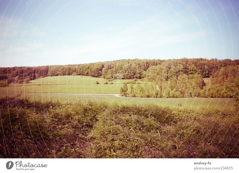 Sommerlandschaft Landschaft Luft Himmel Horizont Schönes Wetter Wiese Feld Wald Natur Umwelt Gras Baum Panorama (Aussicht) Gedeckte Farben grün blau braun