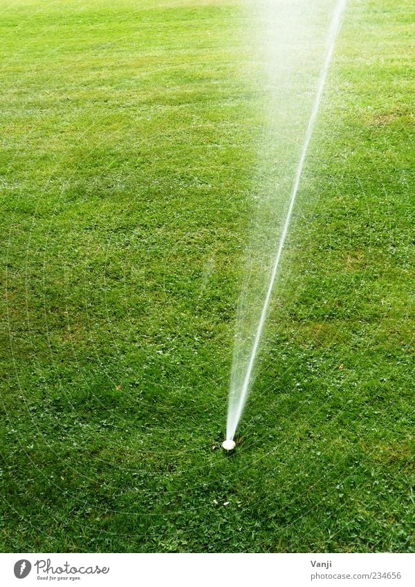 Künstliche Ernährung Umwelt Natur Gras Wiese Wasser Wasserstrahl Bewässerung gießen Rasensprenger Menschenleer Farbfoto Außenaufnahme Tag