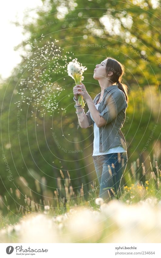 * * * * * Freude Mensch feminin Junge Frau Jugendliche Leben 1 Umwelt Natur Pflanze Frühling Baum Blume Gras Wiese atmen fliegen leuchten Unendlichkeit grün