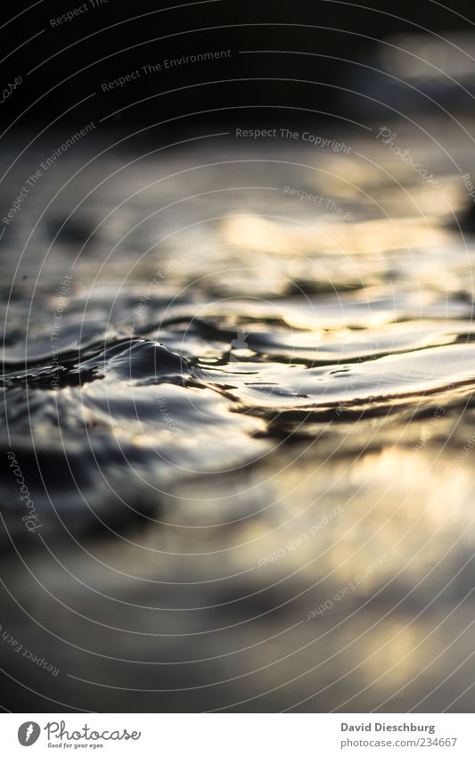 Erfrischende Abendstimmung Natur Wasser Wellen schwarz glänzend nass Wasseroberfläche Farbfoto Außenaufnahme Nahaufnahme Detailaufnahme Strukturen & Formen Tag