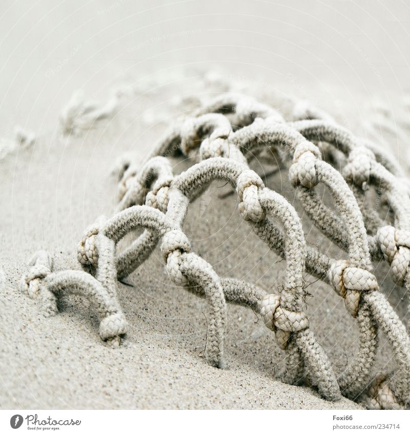 Spiekeroog-Netz voll Sand Natur Seeufer Strand Nordsee Knoten entdecken authentisch gelb weiß Vergänglichkeit Farbfoto Menschenleer Textfreiraum oben Tag