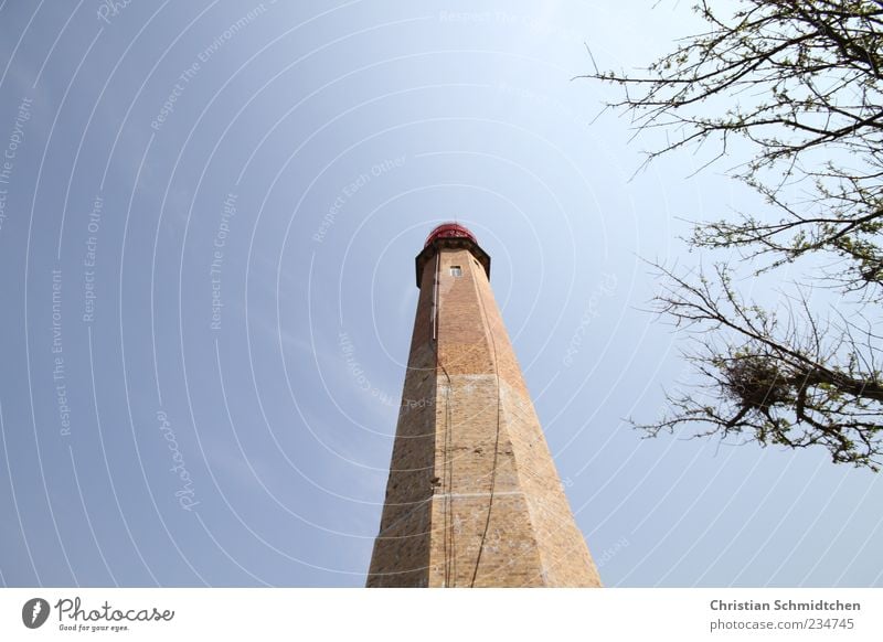 Der Turm Umwelt Himmel Baum Hafenstadt Leuchtturm Bauwerk Sehenswürdigkeit Wahrzeichen Denkmal alt groß blau braun Fehmarn Farbfoto Außenaufnahme Menschenleer