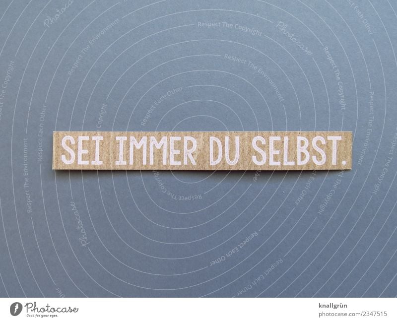 SEI IMMER DU SELBST. Schriftzeichen Schilder & Markierungen Kommunizieren braun grau weiß Gefühle selbstbewußt Coolness Mut Menschlichkeit einzigartig