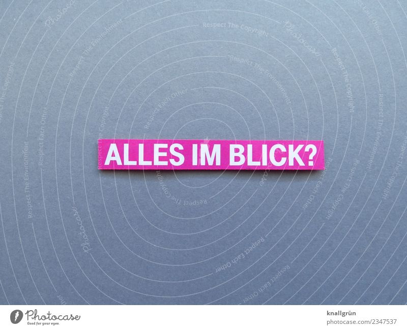 Alles im Blick? Fragen Interesse Neugier Fragezeichen Wissen erkunden Buchstaben Wort Satz Letter Typographie Text Lateinisches Alphabet Erwartung Kommunizieren