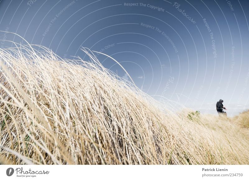 Dünenspaziergang Freizeit & Hobby Ferien & Urlaub & Reisen Ausflug Abenteuer Freiheit Sommer Sommerurlaub Strand wandern Mensch 1 Umwelt Natur Landschaft Himmel